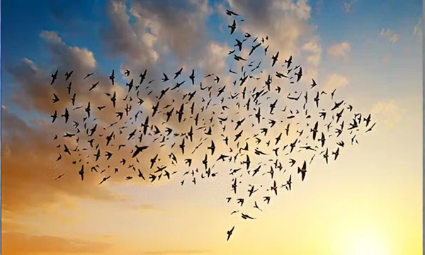 SwiftX for PLM SwiftX for PLM