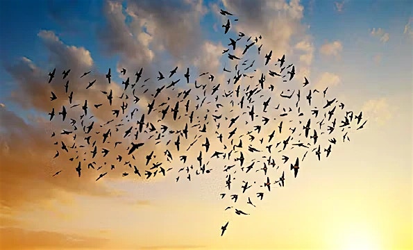 SwiftX for PLM SwiftX for PLM