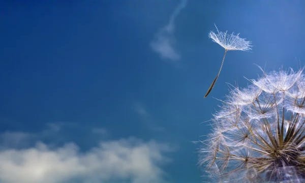 HCLTech recognized as a Leader in 2023 Gartner® Magic Quadrant™ for Public Cloud IT Transformation Services HCLTech recognized as a Leader in 2023 Gartner® Magic Quadrant™ for Public Cloud IT Transformation Services