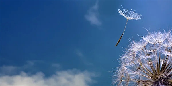 HCLTech recognized as a Leader in 2023 Gartner® Magic Quadrant™ for Public Cloud IT Transformation Services HCLTech recognized as a Leader in 2023 Gartner® Magic Quadrant™ for Public Cloud IT Transformation Services