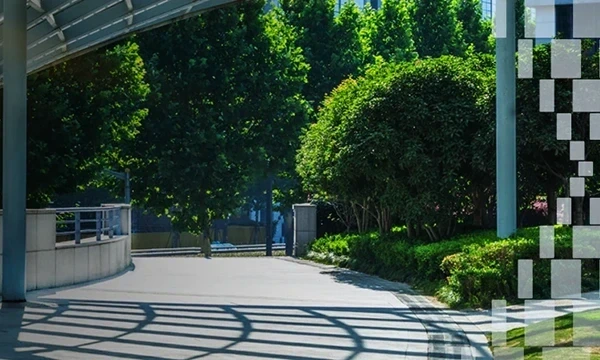 HCLTech launches 2nd edition of Climate Action Grant in the Americas