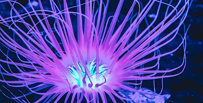 Healthcare healthcare