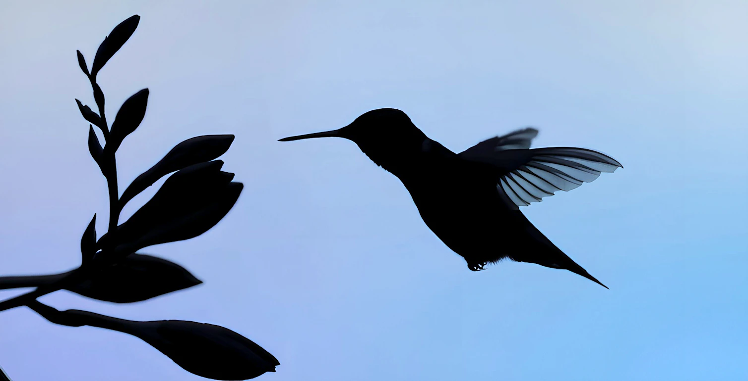 Marketing & content marketing & content