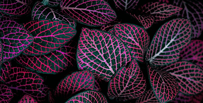 Digital business digital business