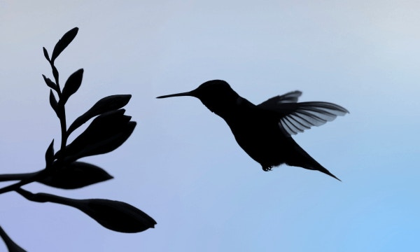 enterprise application