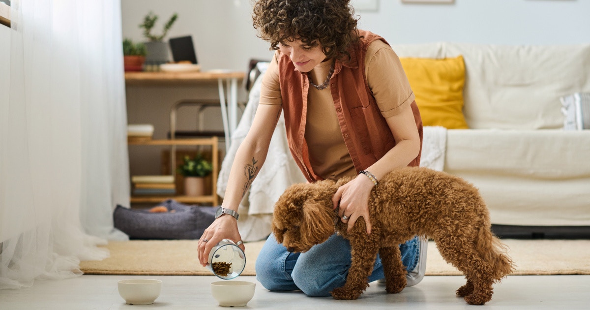 Smart pet, smarter care: Key Trends reshaping petcare | HCLTech