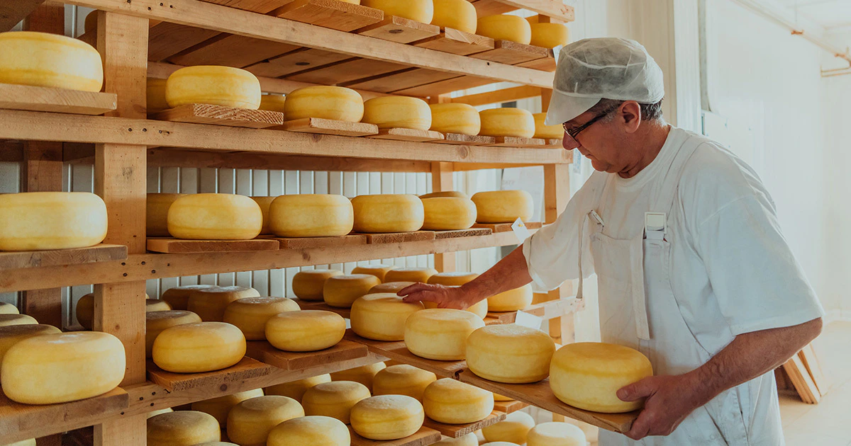 SAP ERP Transformation for Leading US Cheese Producer | HCLTech