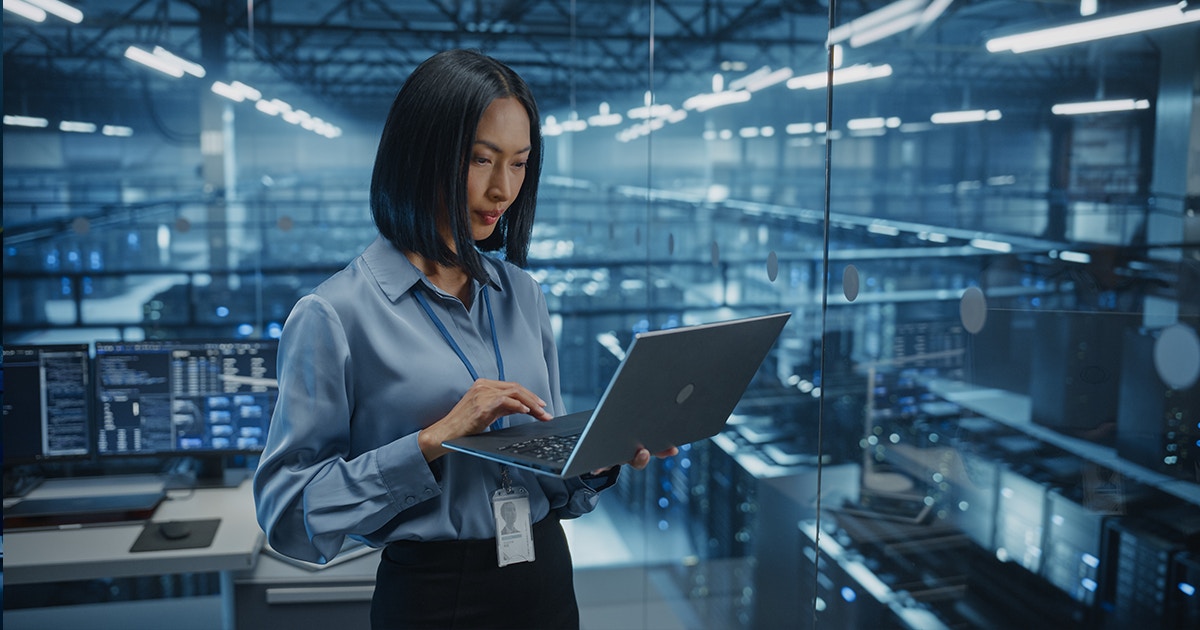 Software Lifecycle Support VIM