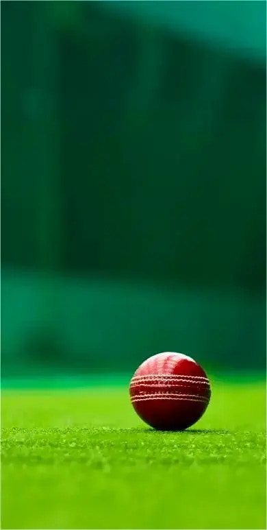 Cricket-Australien Cricket-Australien