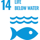 Life below water icon
