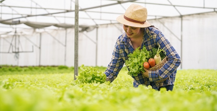 Food and Ag-ISAC group established to protect critical food supply chain 