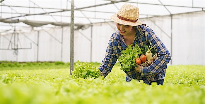 Food and Ag-ISAC group established to protect critical food supply chain  Food and Ag-ISAC group established to protect critical food supply chain