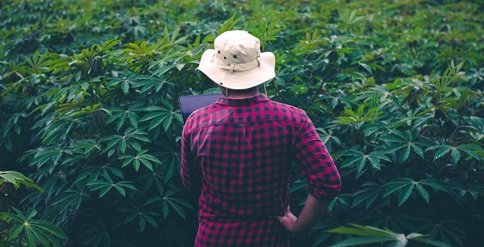 How tech can help build trust and eliminate greenwashing