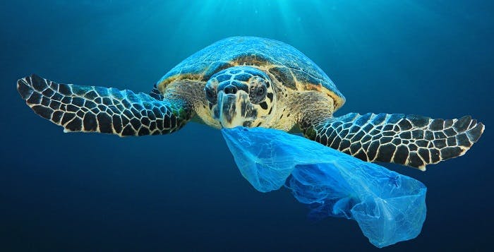 Plastic pollution: A changing of the tide