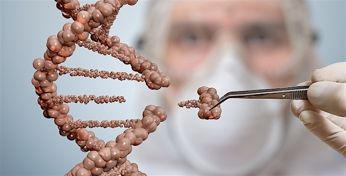 Bioengineering breakthroughs: The rise of organ-on-chip and genome editing Bioengineering breakthroughs: The rise of organ-on-chip and genome editing