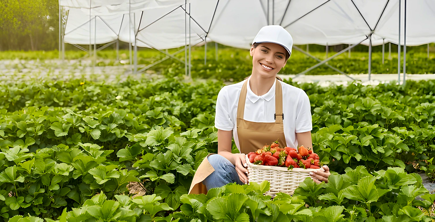 World Food Day World Food Day