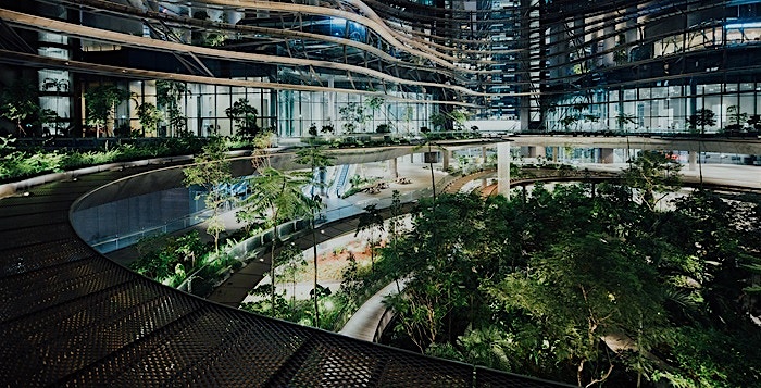 HCLTech: A journey of sustainability in action