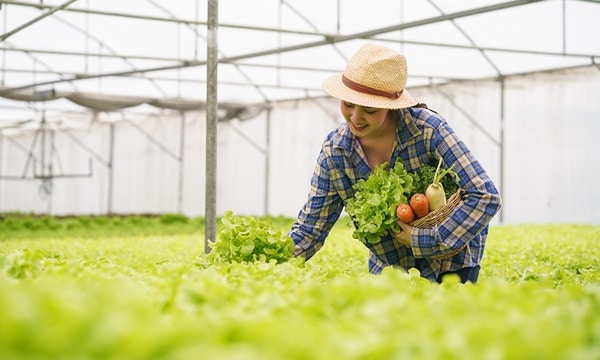 Food and Ag-ISAC group established to protect critical food supply chain Food and Ag-ISAC group established to protect critical food supply chain