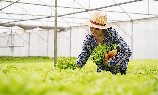 Food and Ag-ISAC group established to protect critical food supply chain  Food and Ag-ISAC group established to protect critical food supply chain