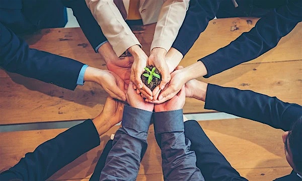 Adopting ecosystem collaboration to drive sustainability Adopting ecosystem collaboration to drive sustainability