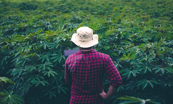 How tech can help build trust and eliminate greenwashing How tech can help build trust and eliminate greenwashing