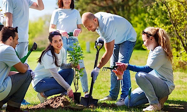 How artificial intelligence can help the enterprise meet sustainability goals How artificial intelligence can help the enterprise meet sustainability goals