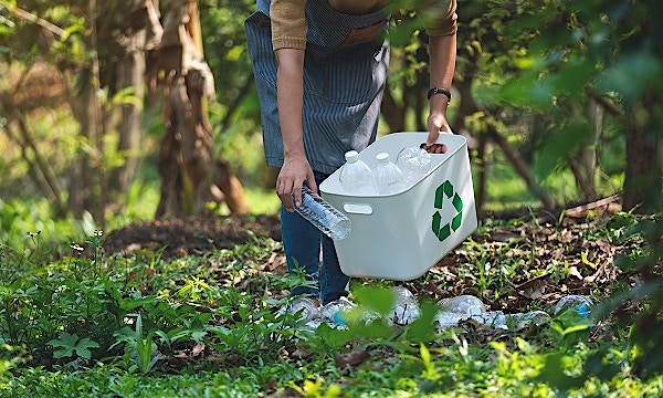 AI-powered parrot branching out gray areas of waste management