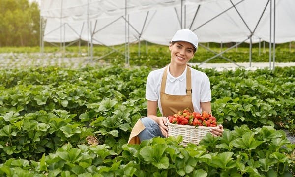 World Food Day