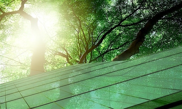 How can organizations navigate the evolving landscape of EU sustainability regulations? 