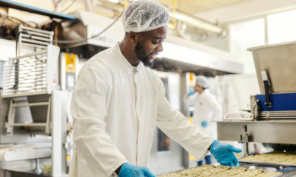 Méthodologie de modélisation du brunissement des biscuits en CFD