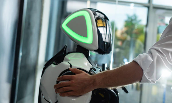 Techniques of securing AI with Federated Learning